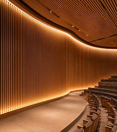 Acoustic Ceilings